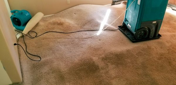 Flood Damage Cleanup in Valencia