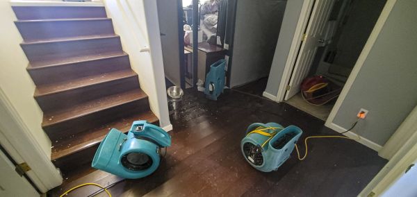 Water Damage Remediation in Valencia