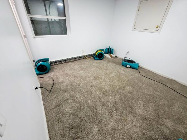 Flood Restoration Service in Valencia