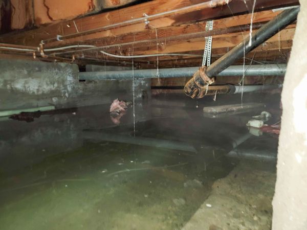 Crawlspace Water Restoration in Valencia